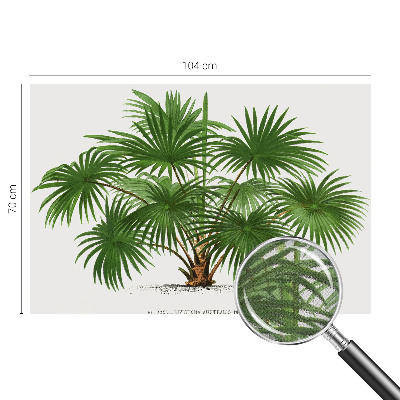 Samolepilna fototapeta za dnevno sobo Eksotični vzorec