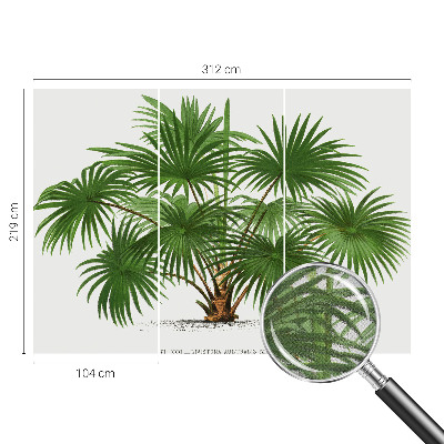 Samolepilna fototapeta za dnevno sobo Eksotični vzorec