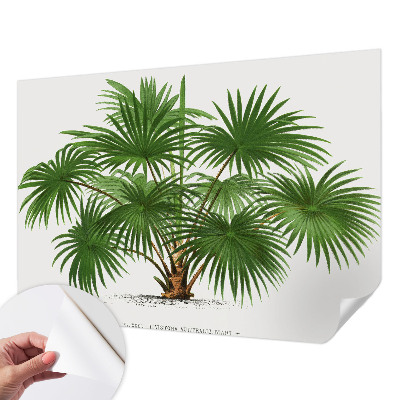 Samolepilna fototapeta za dnevno sobo Eksotični vzorec