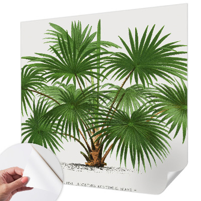 Samolepilna fototapeta za dnevno sobo Eksotični vzorec