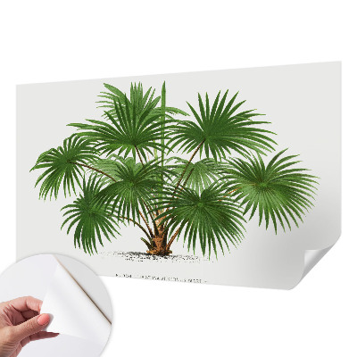 Samolepilna fototapeta za dnevno sobo Eksotični vzorec