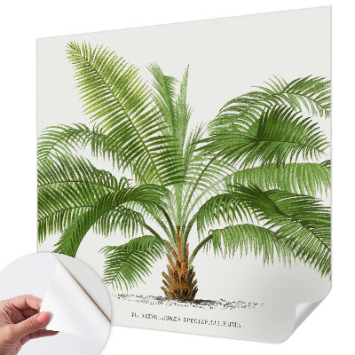 Samolepilna fototapeta za spalnico z motivom sijoče palme