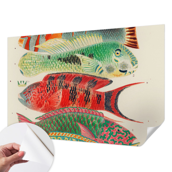 3D fototapeta z motivom eksotičnih rib