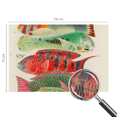 3D fototapeta z motivom eksotičnih rib