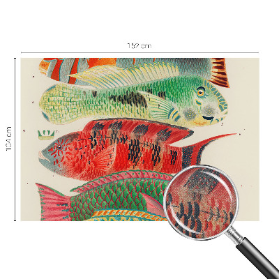 3D fototapeta z motivom eksotičnih rib