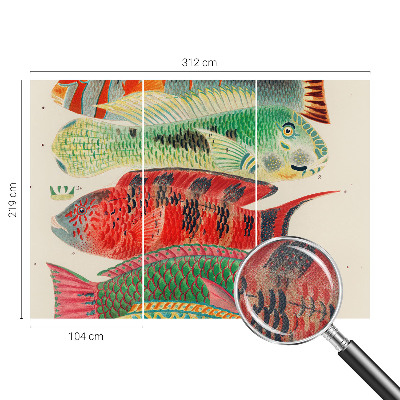 3D fototapeta z motivom eksotičnih rib