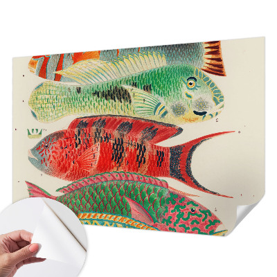 3D fototapeta z motivom eksotičnih rib