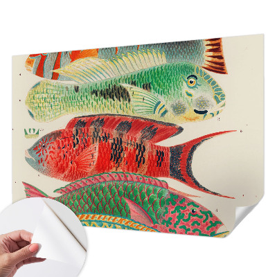 3D fototapeta z motivom eksotičnih rib