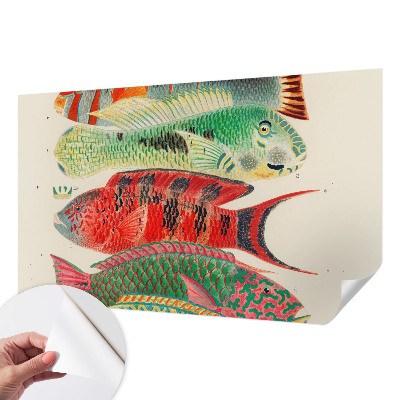 3D fototapeta z motivom eksotičnih rib