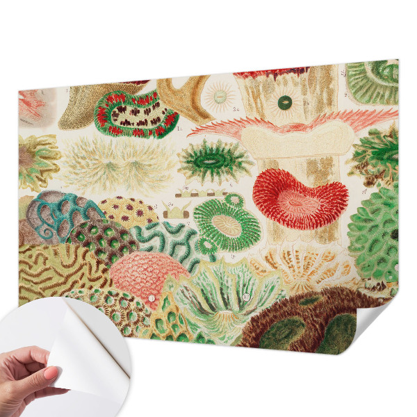 Fototapeta za otroško sobo Organske oblike