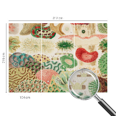 Fototapeta za otroško sobo Organske oblike