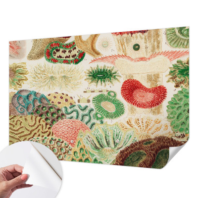 Fototapeta za otroško sobo Organske oblike