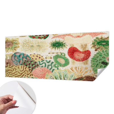 Fototapeta za otroško sobo Organske oblike