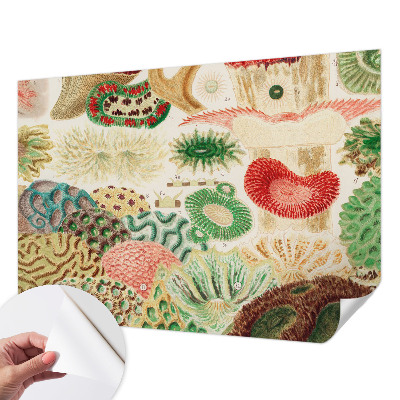 Fototapeta za otroško sobo Organske oblike