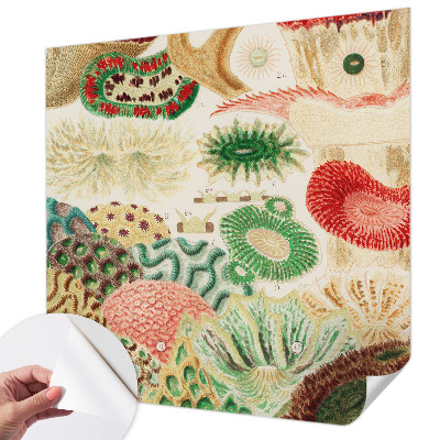 Fototapeta za otroško sobo Organske oblike