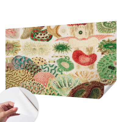 Fototapeta za otroško sobo Organske oblike