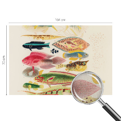 Otroška fototapeta Barvite ribe