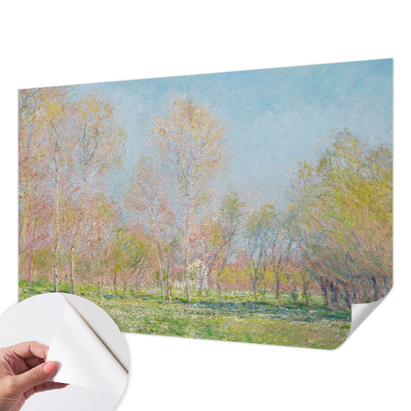 Samolepilna fototapeta za dnevno sobo Pomladni park