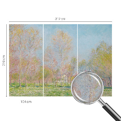 Samolepilna fototapeta za dnevno sobo Pomladni park