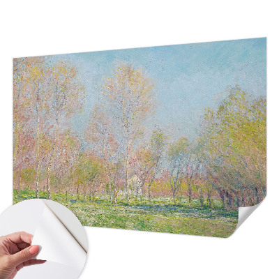 Samolepilna fototapeta za dnevno sobo Pomladni park