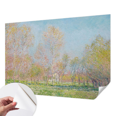 Samolepilna fototapeta za dnevno sobo Pomladni park