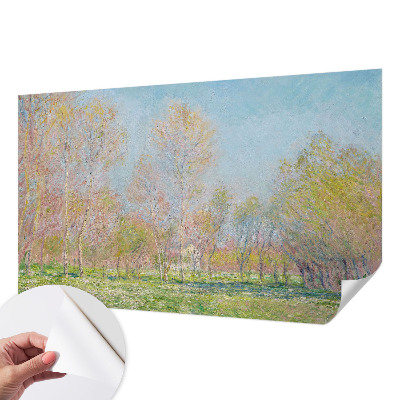 Samolepilna fototapeta za dnevno sobo Pomladni park