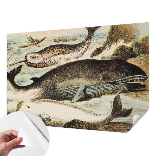 Otroška fototapeta Morski velikani