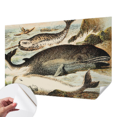 Otroška fototapeta Morski velikani