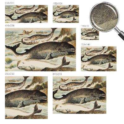 Otroška fototapeta Morski velikani