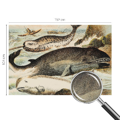 Otroška fototapeta Morski velikani