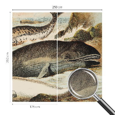 Otroška fototapeta Morski velikani