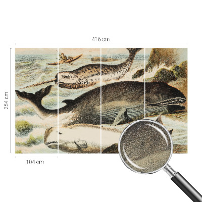 Otroška fototapeta Morski velikani