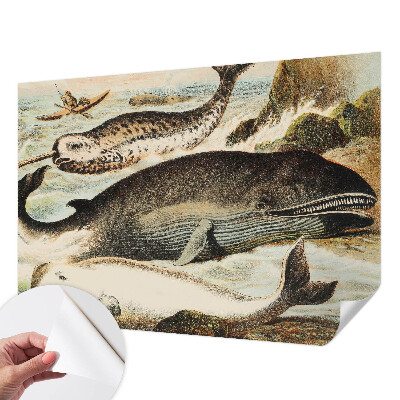 Otroška fototapeta Morski velikani