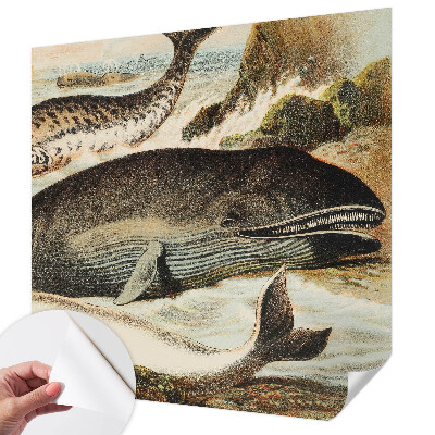 Otroška fototapeta Morski velikani