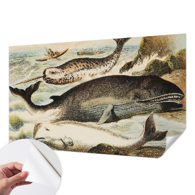 Otroška fototapeta Morski velikani