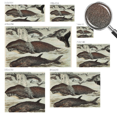 Samolepilna fototapeta Morska bitja