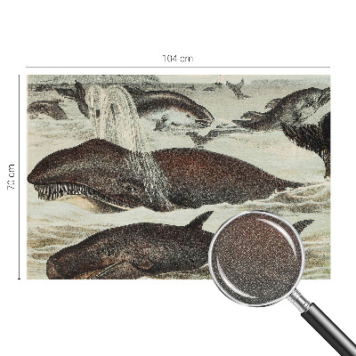 Samolepilna fototapeta Morska bitja