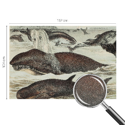 Samolepilna fototapeta Morska bitja