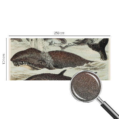 Samolepilna fototapeta z motivom morskih bitij