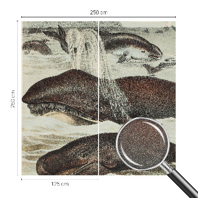 Samolepilna fototapeta Morska bitja