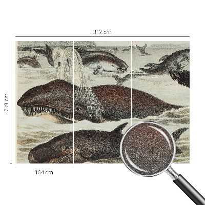Samolepilna fototapeta Morska bitja