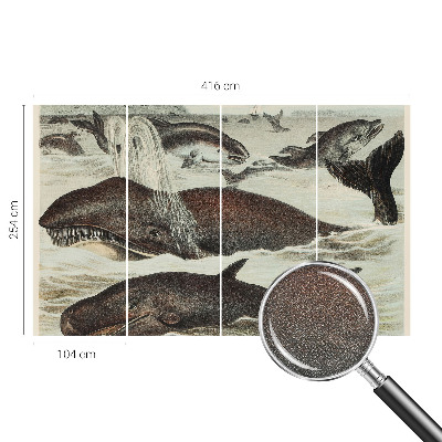 Samolepilna fototapeta Morska bitja