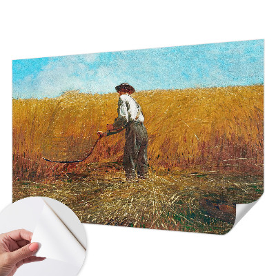 Samolepilna fototapeta z motivom žetve na soncu