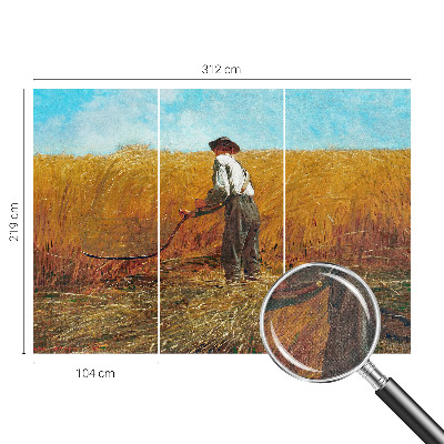Samolepilna fototapeta z motivom žetve na soncu