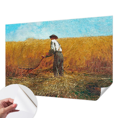Samolepilna fototapeta z motivom žetve na soncu