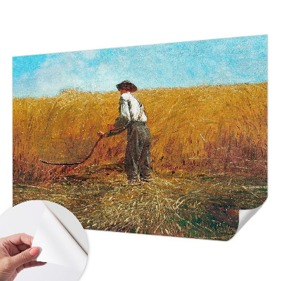 Samolepilna fototapeta z motivom žetve na soncu
