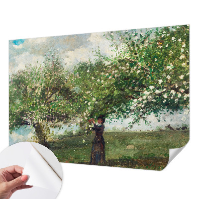 3D fototapeta Pomladni prizor
