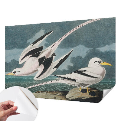 Samolepilna fototapeta za dnevno sobo Ptice ob morju