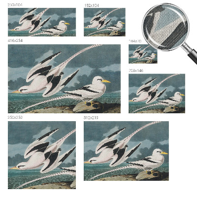 Samolepilna fototapeta za dnevno sobo Ptice ob morju