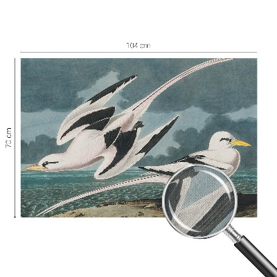 Samolepilna fototapeta za dnevno sobo s motivom ptic ob morju